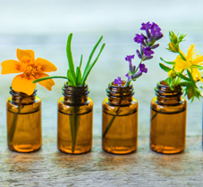 erbe naturopatiche