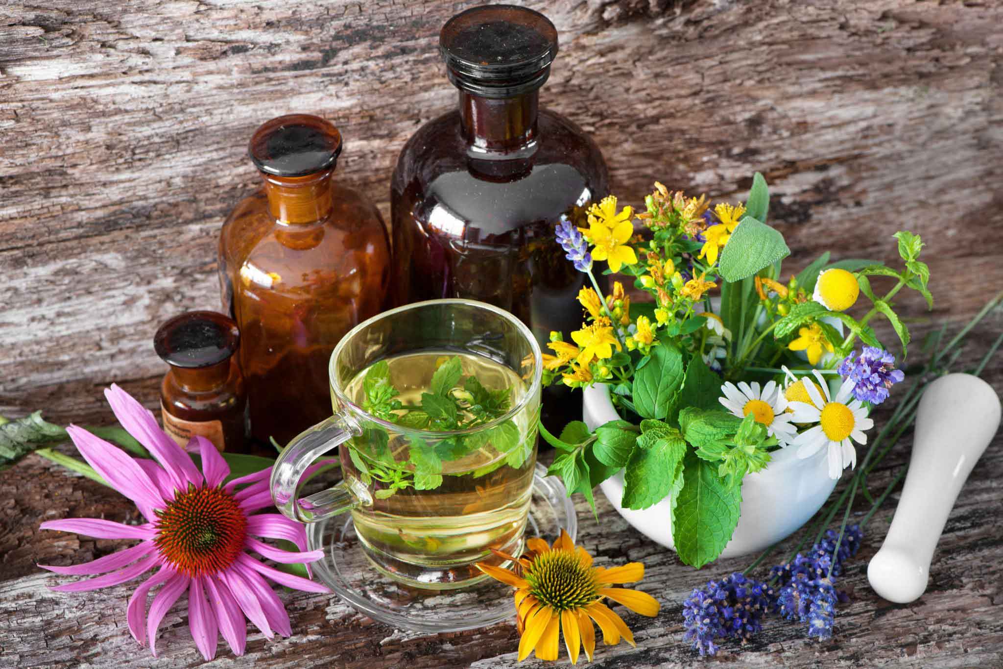 Naturopia erbe